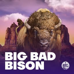 Big Bad Bison