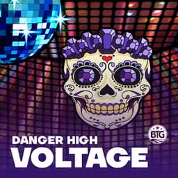 Danger High Voltage