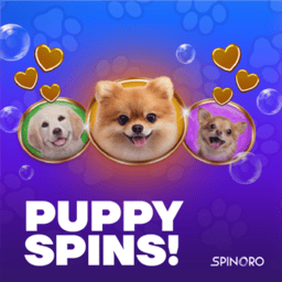 Puppy Spins!