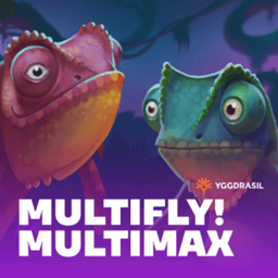 MultiFly!
