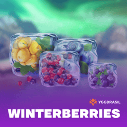 Winterberries